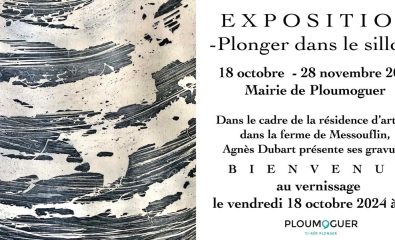 Exposition ce vendredi à 18h à la mairie !