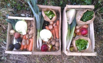 Panier à la ferme