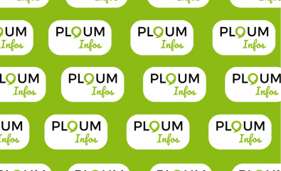 Ploum Infos du 31 octobre