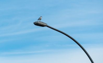 Dysfonctionnements de l’éclairage public – Kerouman / salle Omnisports